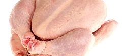 Poultry