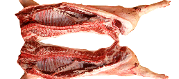 Pork